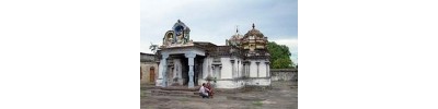 219. திருத்தினைநகர்
